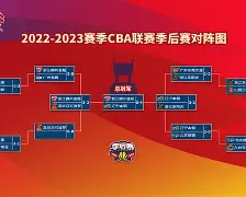 开云体育入口-包含赛地聚焦：CBA季后赛国际比赛日热度飙升，尼斯强势反弹，信心回归，训练强度明显提升的词条